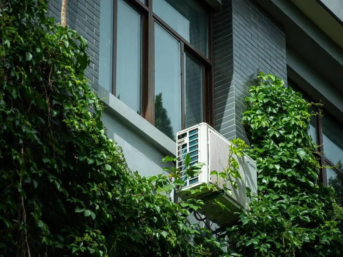Energy-Efficient Windows in Decatur, IL